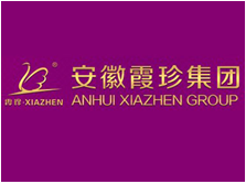 安徽霞珍集團
